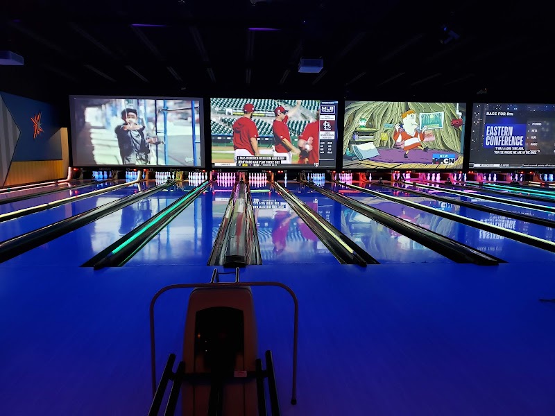 Alley Cats Entertainment banner
