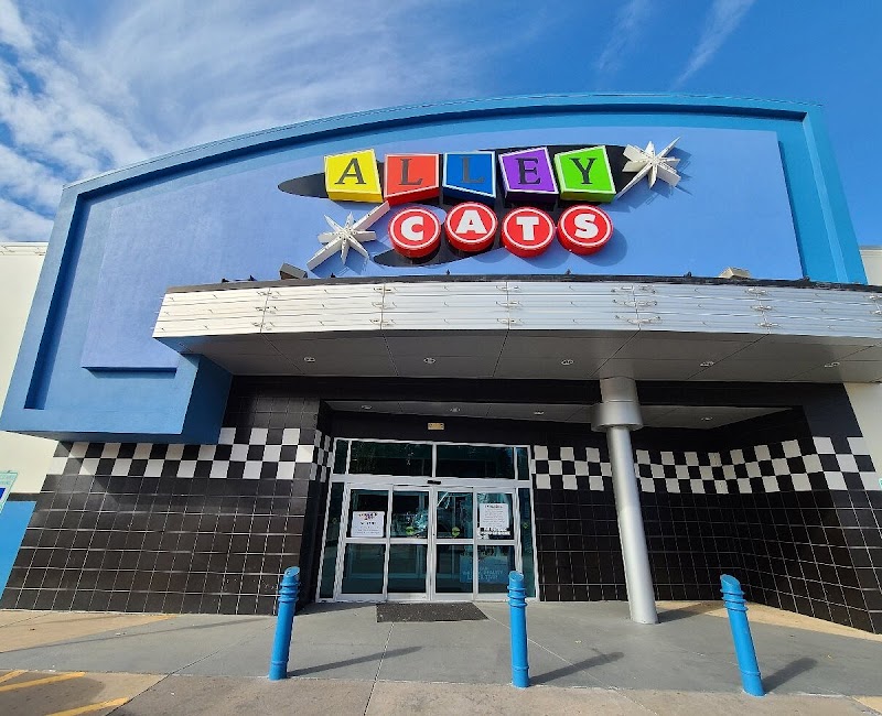 Alley Cats Entertainment — Bowling Alley in Arlington