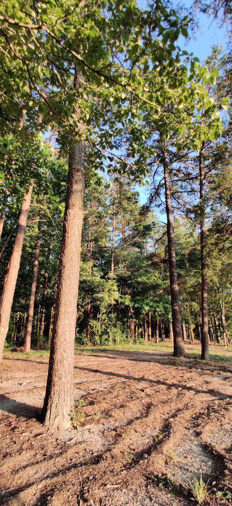 Creekside Park Disc Golf Course photo 4