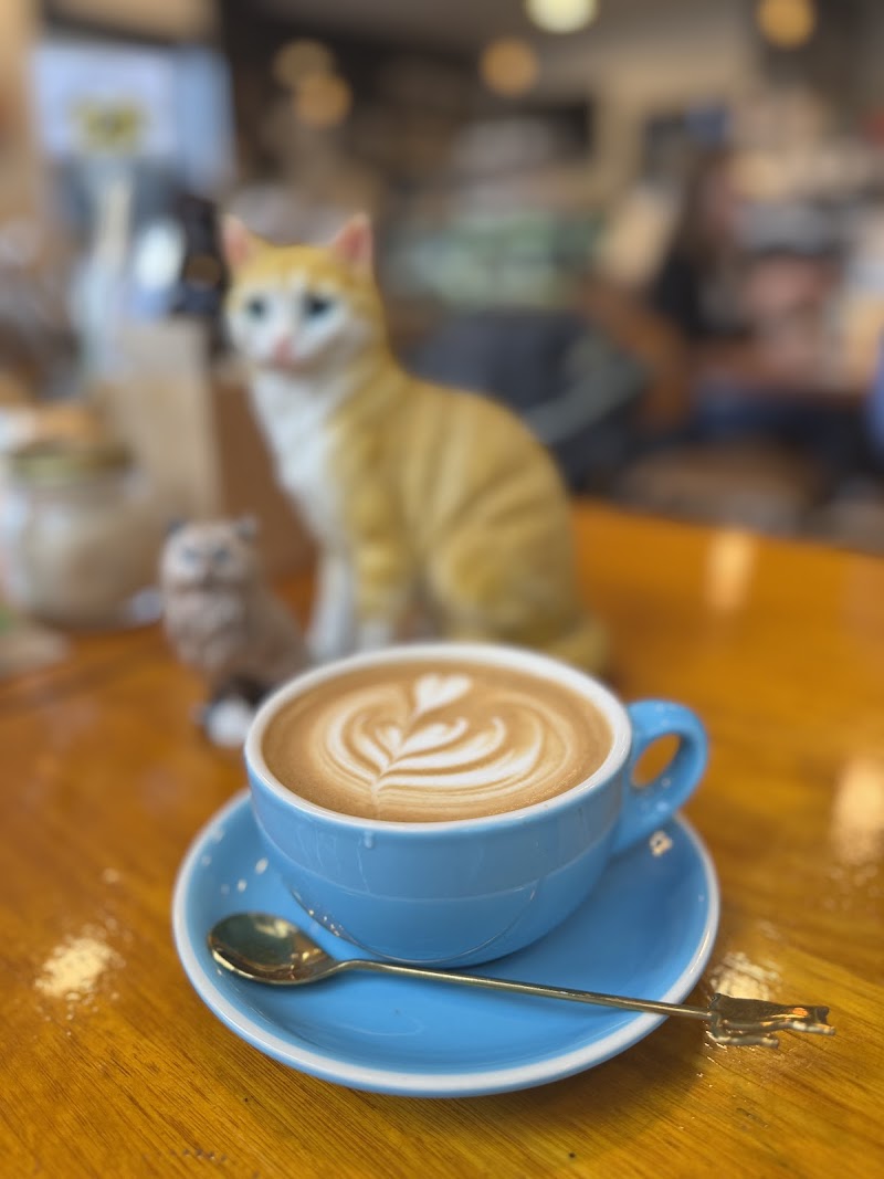 Cat-themed Japanese cafe | neko Geelong photo 6
