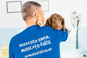 Clínica Veterinaria Ávila Chiclana