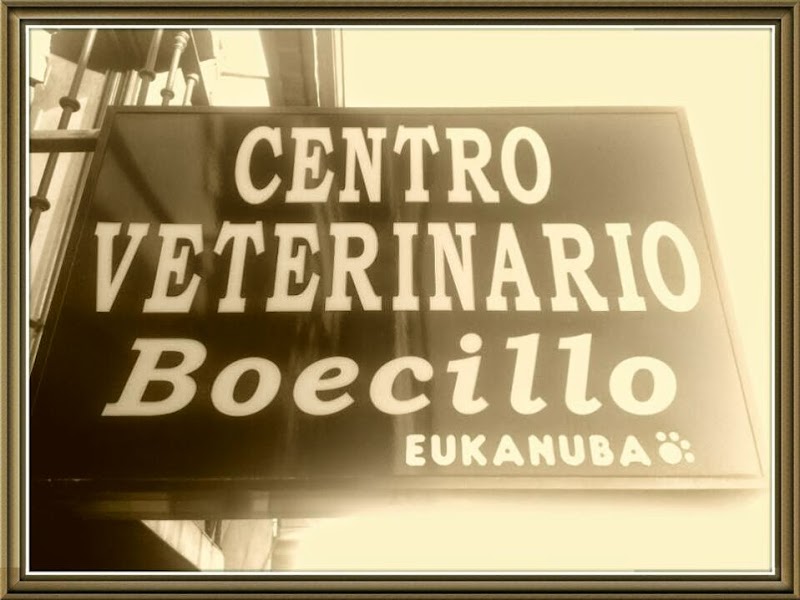 Centro Veterinario Boecillo
