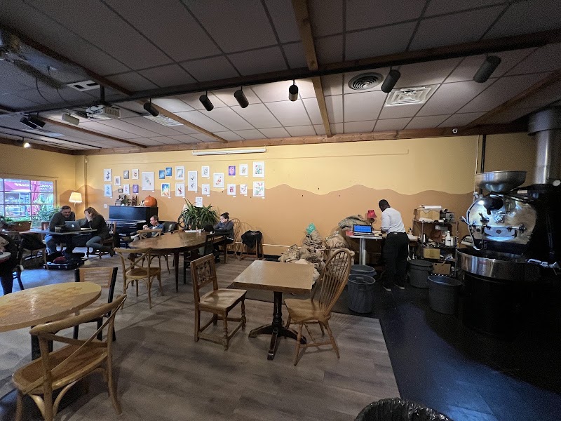 The Black Cow Coffee Co photo 4