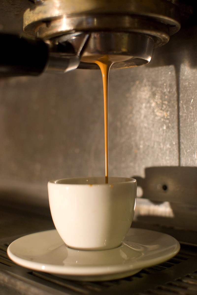 Oso Negro Café photo 2