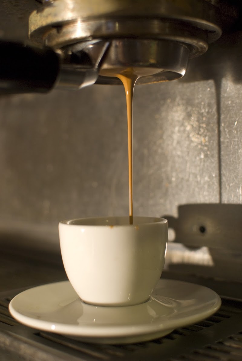 Oso Negro Café photo 3
