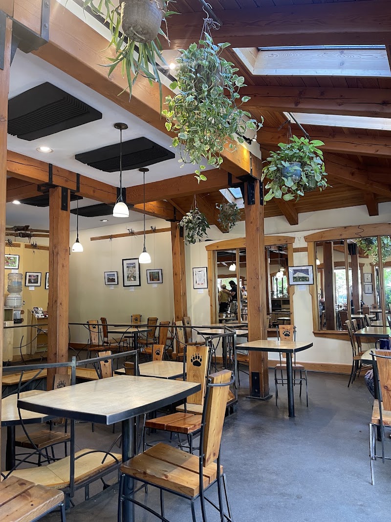 Oso Negro Café photo 3