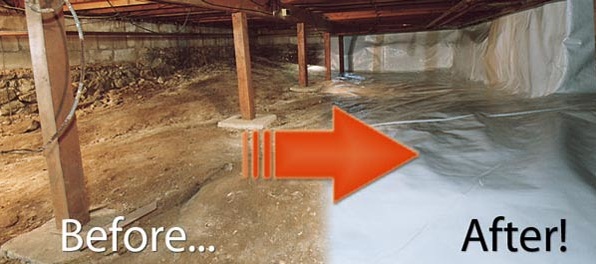 Raleigh NC Mold Testing and Remediation — photo
