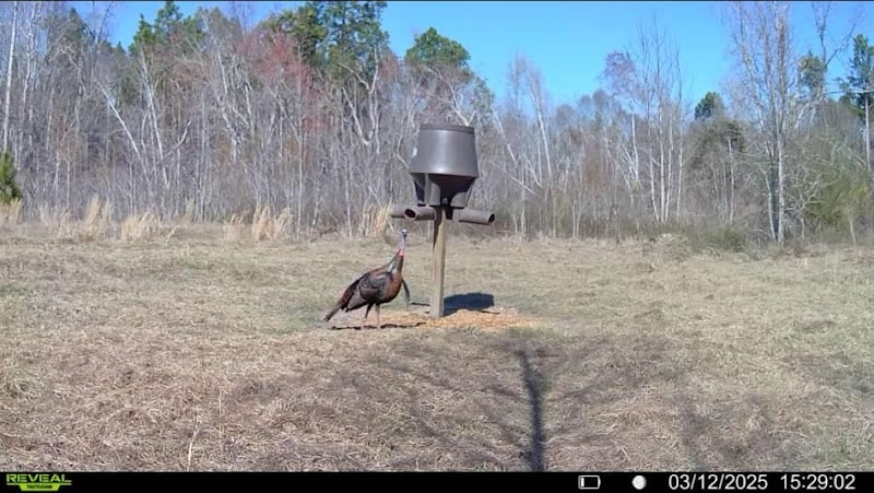 Oconee River Lodge - Photo 6