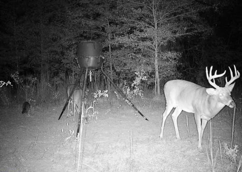 Oconee River Lodge - Photo 2