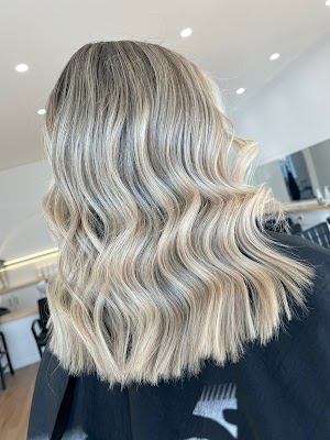 Moss & Co. Studio photo 3