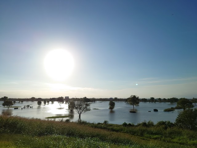 Furukawa Golf Links - Photo 3