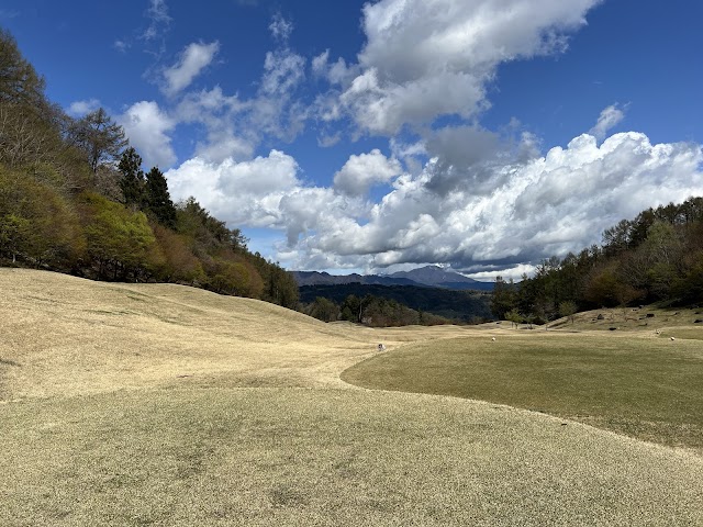 Weego Country Club - Photo 2