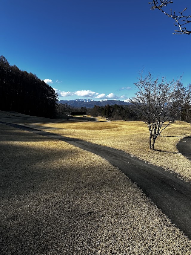 Weego Country Club - Photo 6