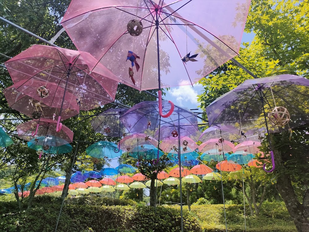 矢野温泉公園 四季の里もみじ谷園キャンプ場
