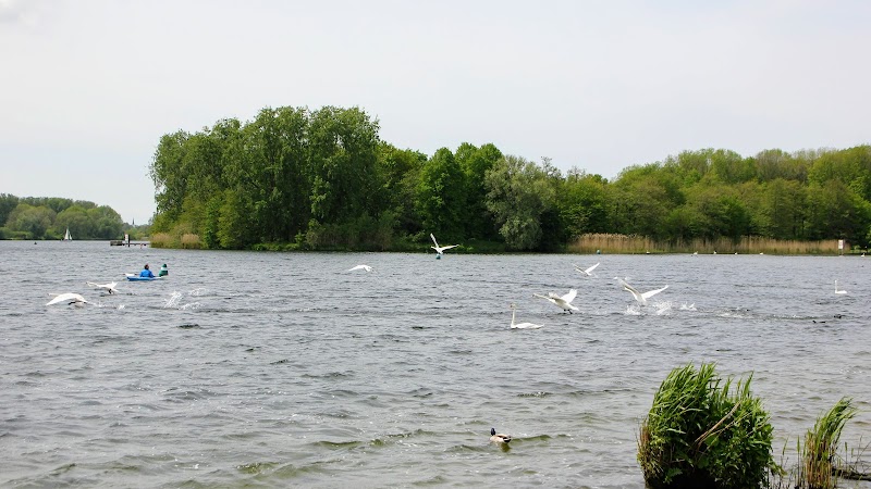 Brielse Meer