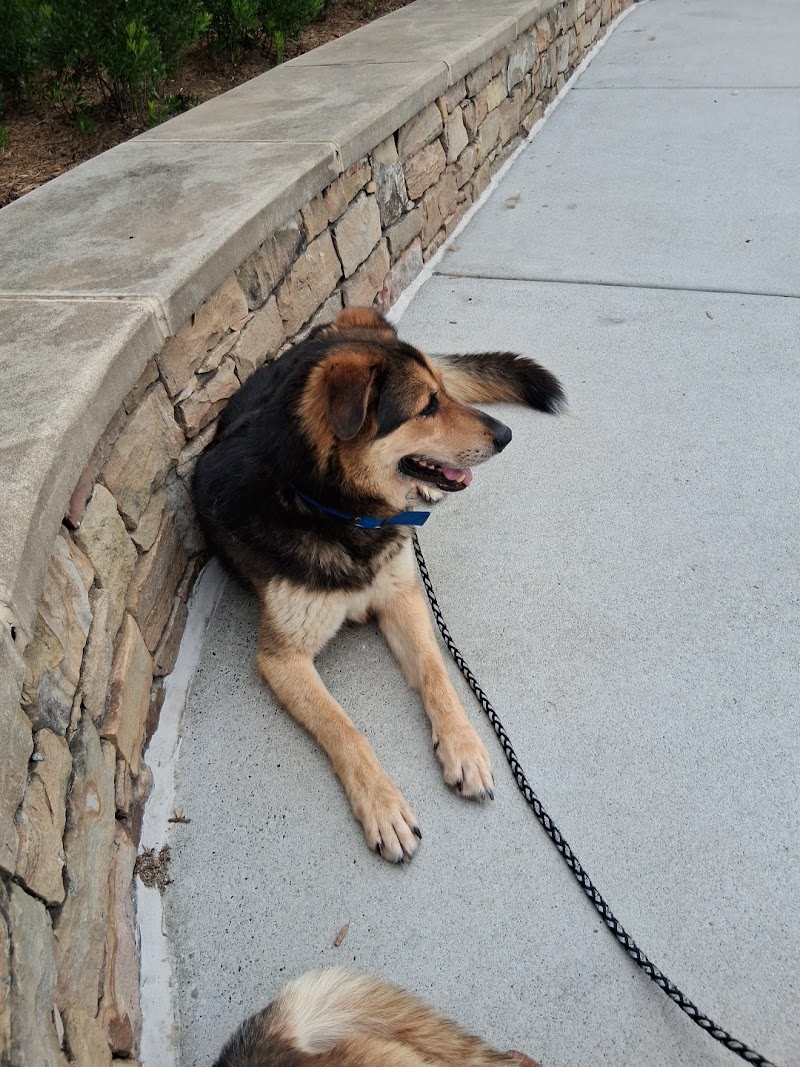 Aspen Dental - Hendersonville, NC