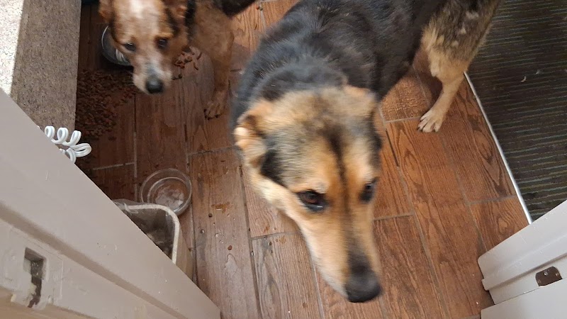 Aspen Dental - Hendersonville, NC