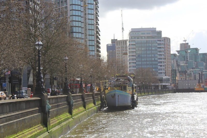 Thames River Tours