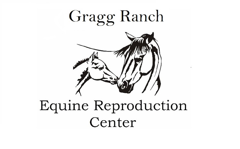 Gragg Ranch - Photo 6