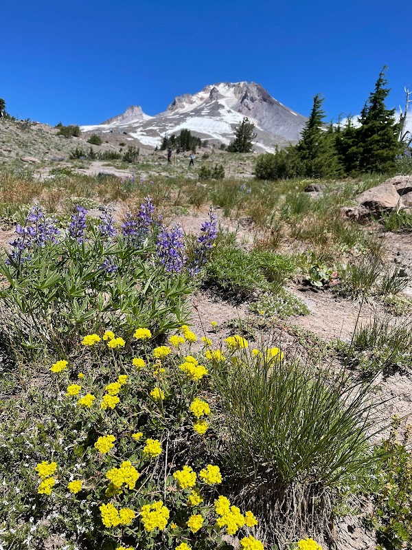 The Adventure Collective’s Guide to the Best Trail Running Adventures