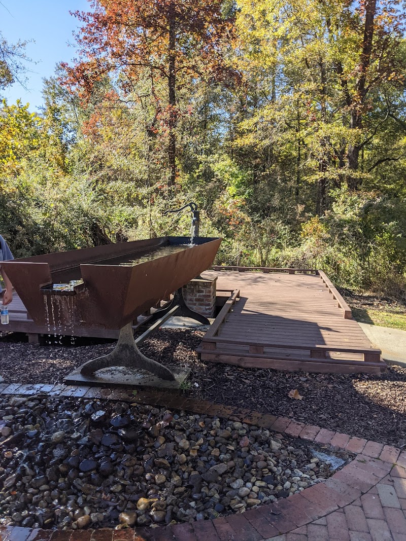 Town Springs Park photo 3