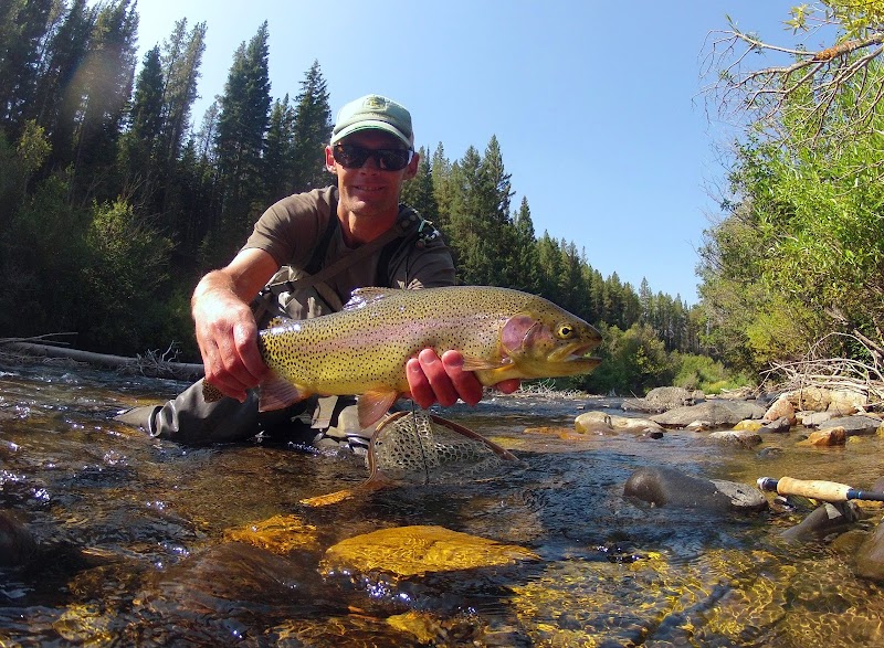 Ripple Creek Lodge - Photo 1