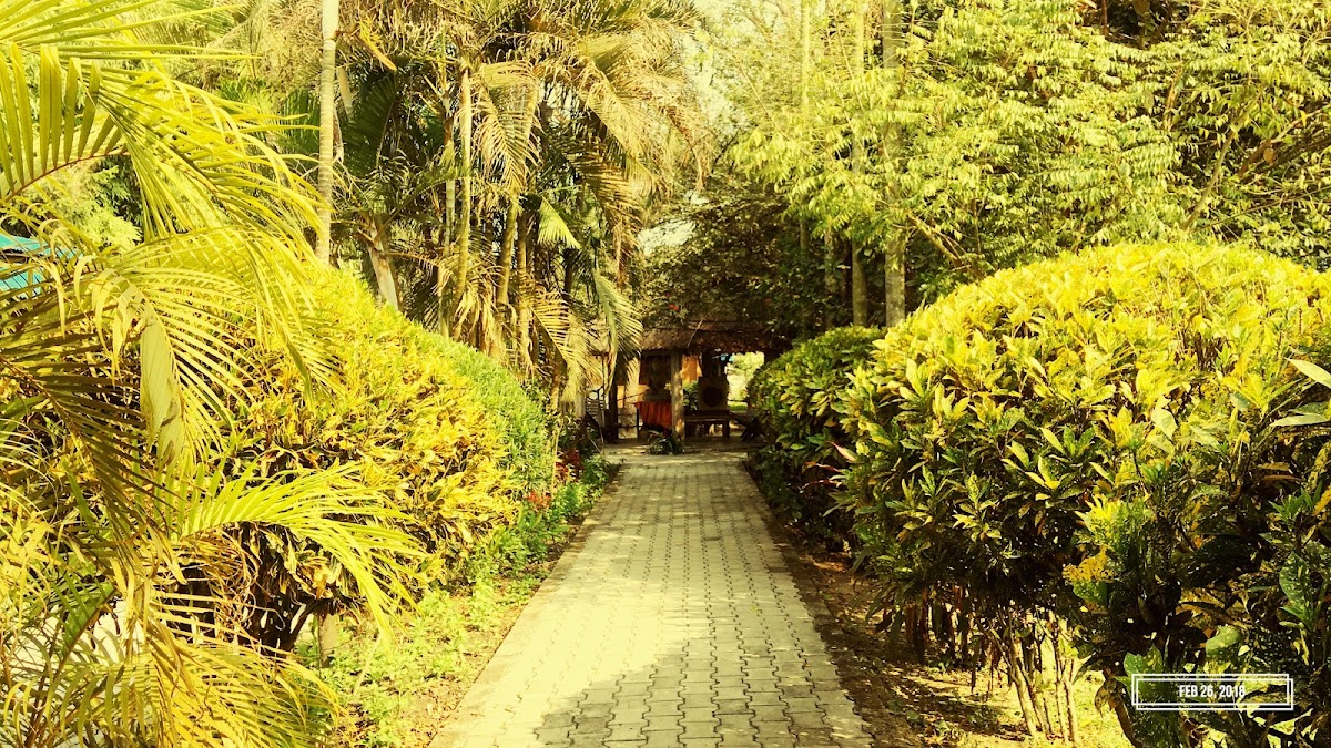 Osho Tathagat Meditation Center