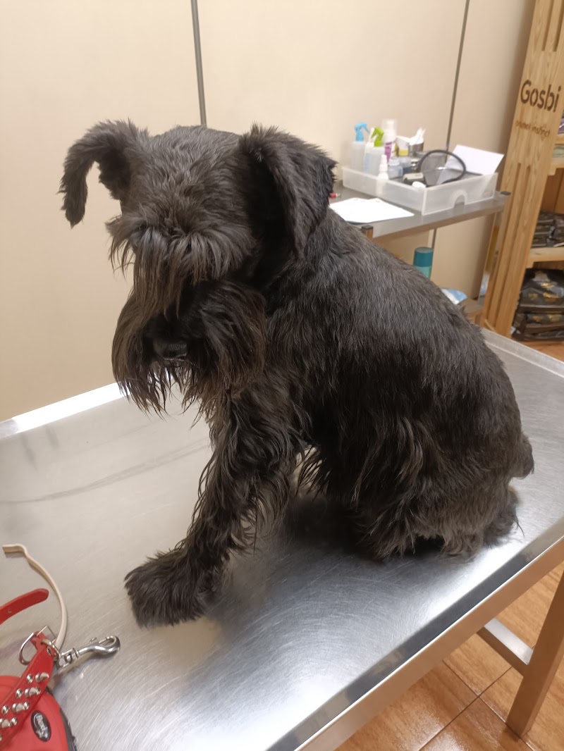 Clínica Veterinaria J.J. Rivas