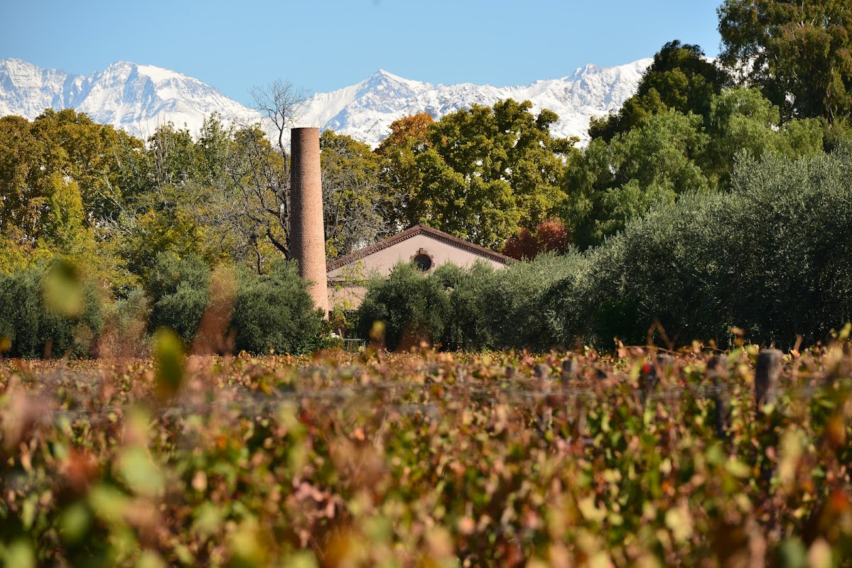 Bodega Lagarde