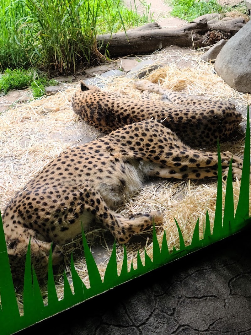 Oregon Zoo - Photo 4
