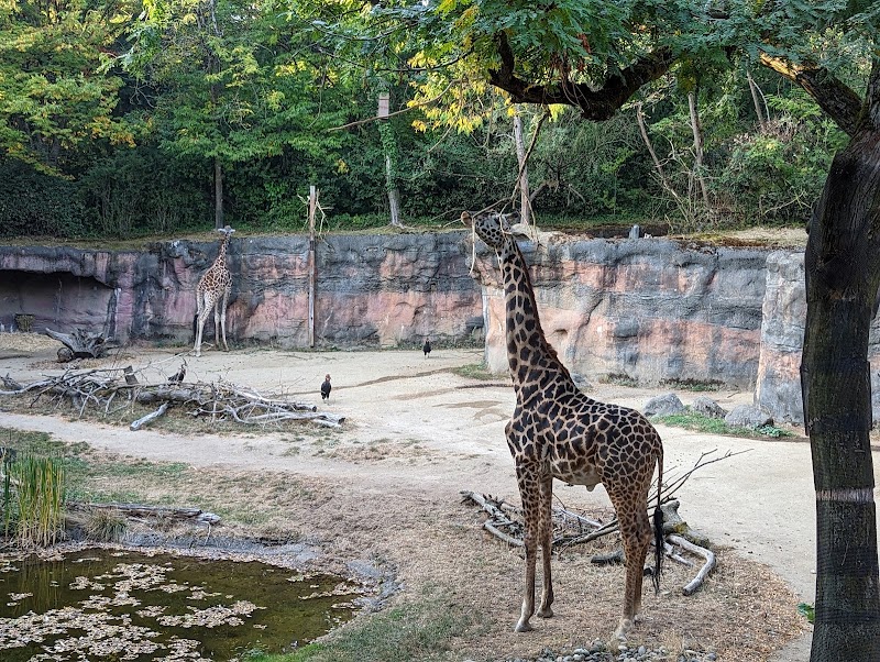 Oregon Zoo - Photo 2