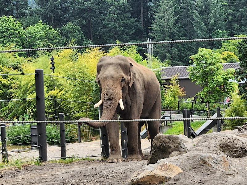 Oregon Zoo - Photo 3