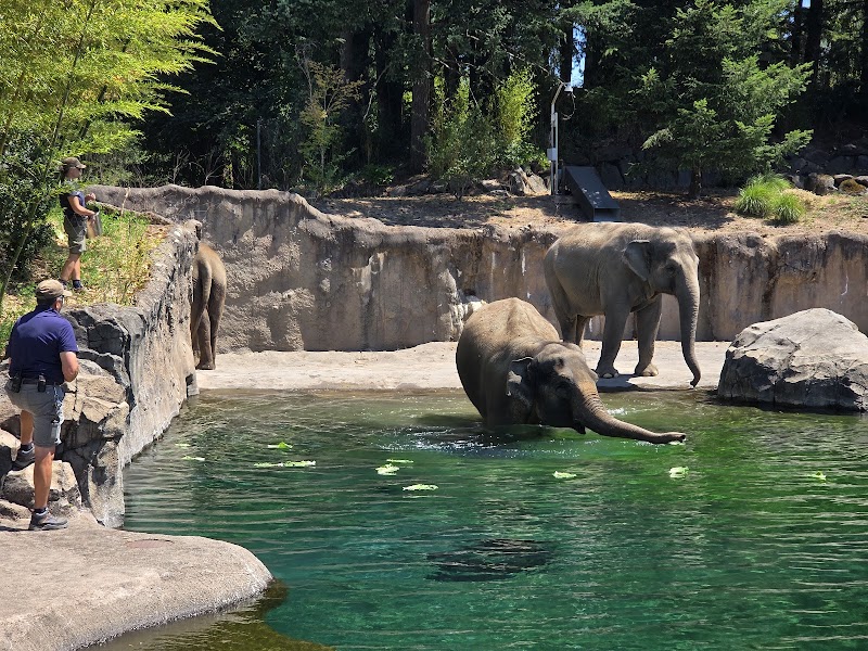Oregon Zoo - Photo 1