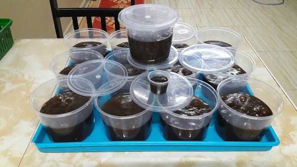 Kota Masai - Photo 1