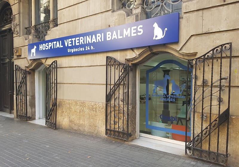 Hospital Veterinari Balmes
