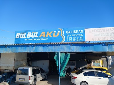 Çalışkan Oto Elektrik - Oto Servisi