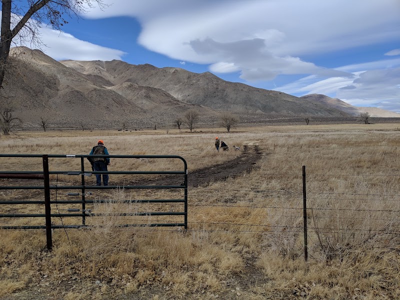 Cottonwood Hunt Club LLC - Photo 1