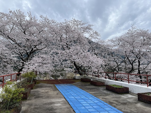 Hikami Country Club - Photo 3