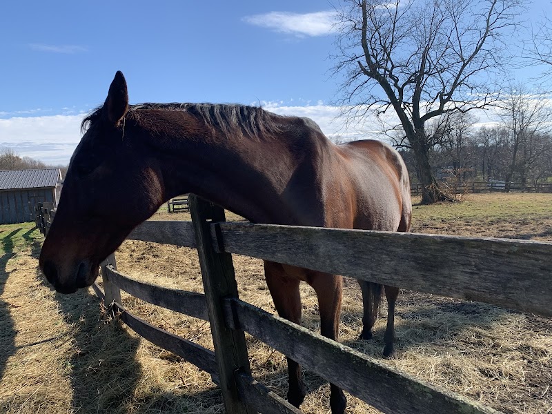 Fairwinds Farm - Photo 2