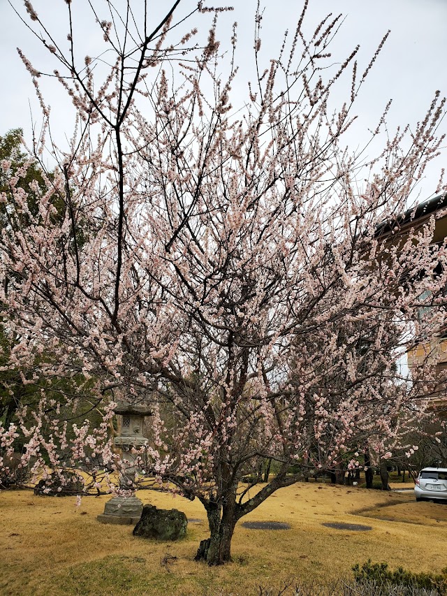 Fukusaki Toyo Golf Club - Photo 8