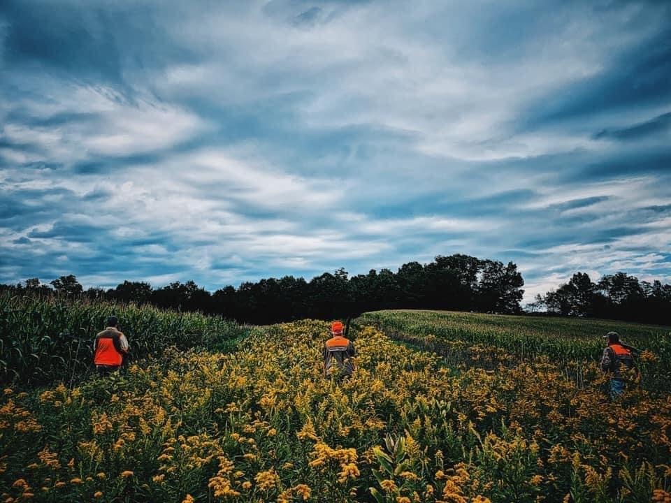 Ringneck Preserve Ray Kalwara
