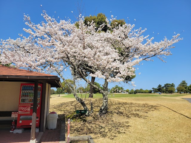 Seta Golf Course East Course / West Course - Photo 10