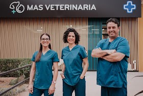 Veterinario en Córdoba | Más Veterinaria
