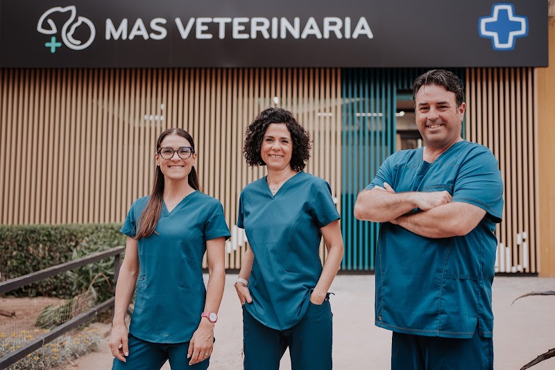 Veterinario en Córdoba | Más Veterinaria