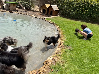 פנסיון מקום טוב