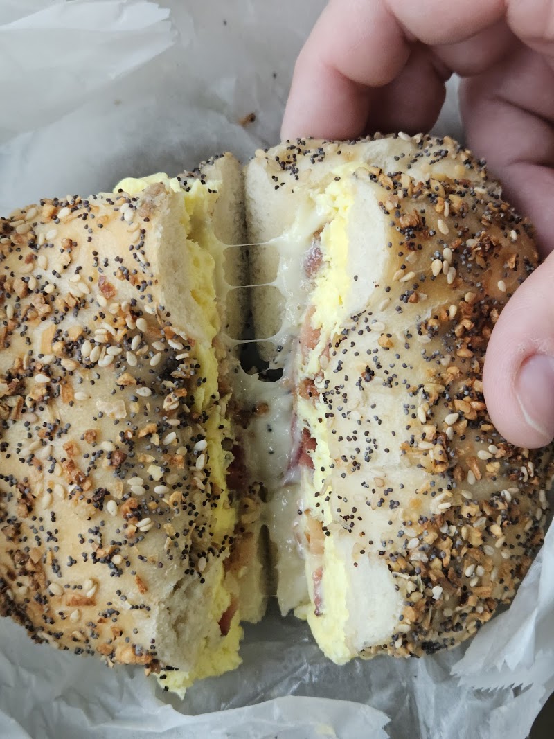 Ani's Bagel Cafe photo 4