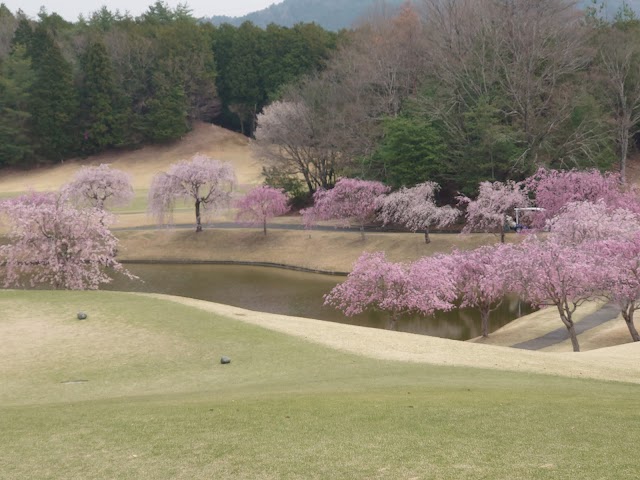 Art Lake Golf Club - Photo 5