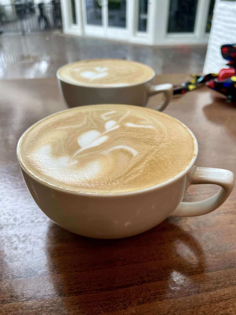 The Lost Bean photo 2