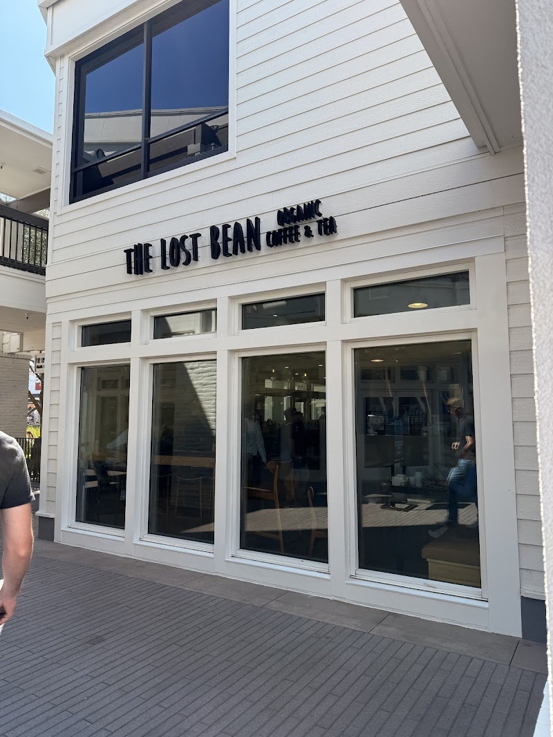 The Lost Bean photo 3