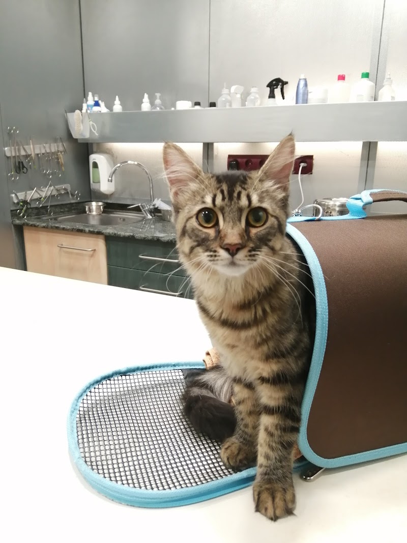 Centre Veterinari Nord